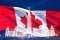 canada flag 60 60